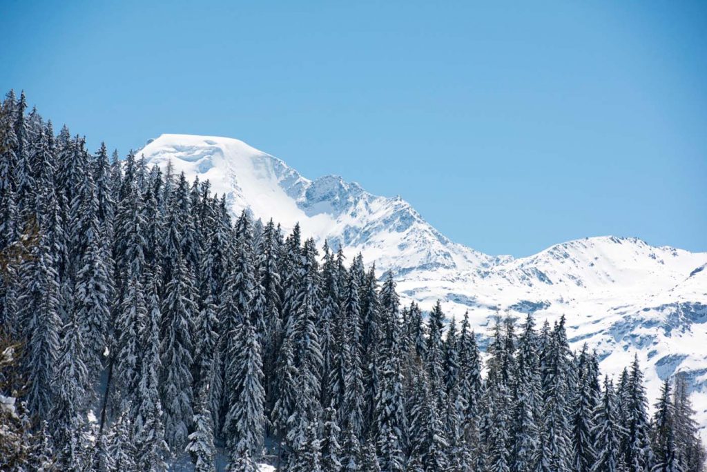 Tohunter Earle Verbier