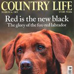 . Country Life March Top BEST