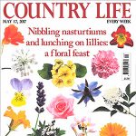 . Country Life ..