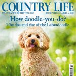 Country Life Top Cover photoshopped